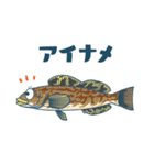 釣果報告 釣りと魚たち2（個別スタンプ：13）