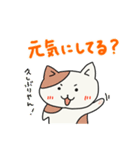 ねこねこ関西弁バージョン（個別スタンプ：24）