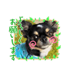 チビ太と仲間2（個別スタンプ：3）