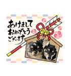 チビ太と仲間2（個別スタンプ：9）