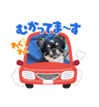 チビ太と仲間2（個別スタンプ：15）