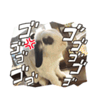 チビ太と仲間2（個別スタンプ：17）