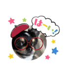 チビ太と仲間2（個別スタンプ：23）
