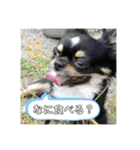 チビ太と仲間2（個別スタンプ：24）