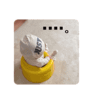 彩乙渚の日常（個別スタンプ：13）
