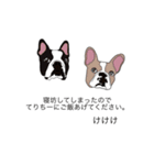 よよくんスタンプ（個別スタンプ：7）