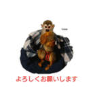 squirrelmonkey Louis（個別スタンプ：8）