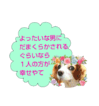 岐阜弁を話す保護犬・猫【ネイティブ監修】（個別スタンプ：18）