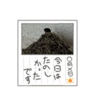 癒やされますなっ（個別スタンプ：5）