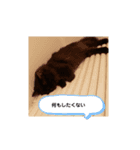 ユノジジモモ（個別スタンプ：13）