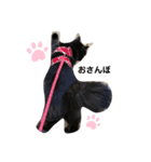 ユノジジモモ（個別スタンプ：14）