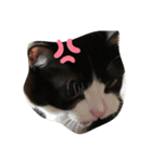 ユノジジモモ（個別スタンプ：16）