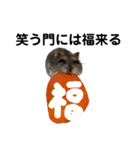 ことわざと多才なミッシェル（個別スタンプ：10）