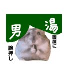 ことわざと多才なミッシェル（個別スタンプ：11）