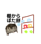 ことわざと多才なミッシェル（個別スタンプ：20）
