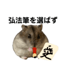 ことわざと多才なミッシェル（個別スタンプ：23）