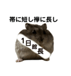 ことわざと多才なミッシェル（個別スタンプ：30）