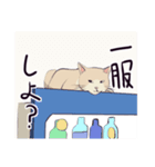 みらさぽ看板猫猫 はずきちゃん（個別スタンプ：6）