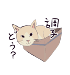 みらさぽ看板猫猫 はずきちゃん（個別スタンプ：10）