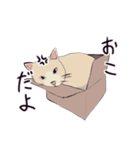 みらさぽ看板猫猫 はずきちゃん（個別スタンプ：14）