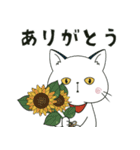 【ぽけ猫とママ】夏休み編にゃ【日常】（個別スタンプ：31）