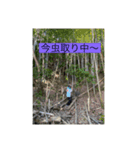 昆虫ハスリング（個別スタンプ：3）