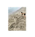 昆虫ハスリング（個別スタンプ：5）