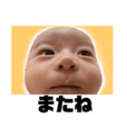 taimaru①（個別スタンプ：31）