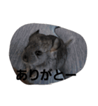 可愛い子達(^^;)))（個別スタンプ：3）