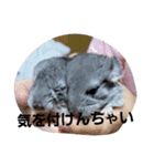 可愛い子達(^^;)))（個別スタンプ：14）