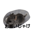 可愛い子達(^^;)))（個別スタンプ：19）