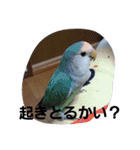 可愛い子達(^^;)))（個別スタンプ：40）