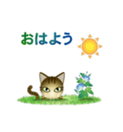 猫の日ごろ9 サビネコ2（個別スタンプ：3）