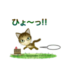 猫の日ごろ9 サビネコ2（個別スタンプ：15）