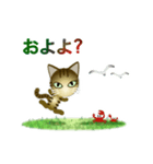 猫の日ごろ9 サビネコ2（個別スタンプ：23）