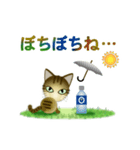 猫の日ごろ9 サビネコ2（個別スタンプ：32）