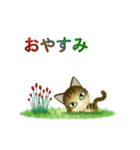 猫の日ごろ9 サビネコ2（個別スタンプ：40）