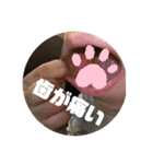 惺ジロー2世奇跡のスタンプ（個別スタンプ：7）
