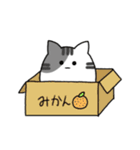 でぶねこ！（個別スタンプ：14）