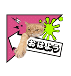 ウタとウミのほのぼの日記（個別スタンプ：1）