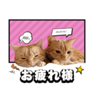ウタとウミのほのぼの日記（個別スタンプ：2）