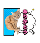 ウタとウミのほのぼの日記（個別スタンプ：3）