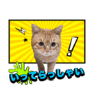ウタとウミのほのぼの日記（個別スタンプ：4）
