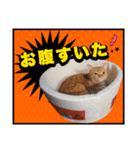 ウタとウミのほのぼの日記（個別スタンプ：5）