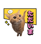 ウタとウミのほのぼの日記（個別スタンプ：7）
