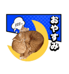 ウタとウミのほのぼの日記（個別スタンプ：8）