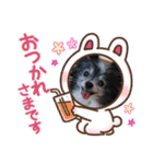 かわいいパンチちゃん（個別スタンプ：16）