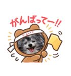 かわいいパンチちゃん（個別スタンプ：18）
