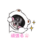 かわいいパンチちゃん（個別スタンプ：19）