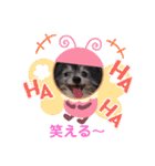 かわいいパンチちゃん（個別スタンプ：24）